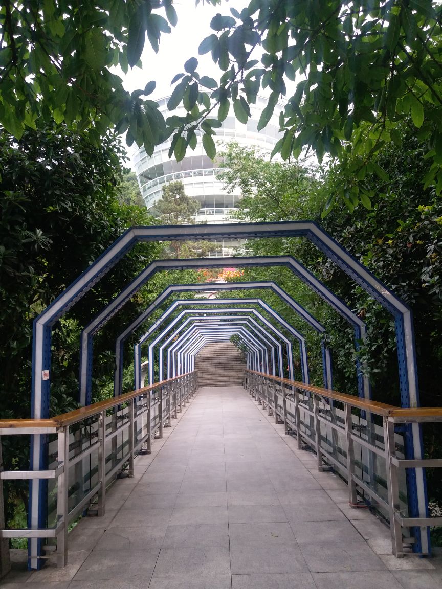 南山一颗树景区