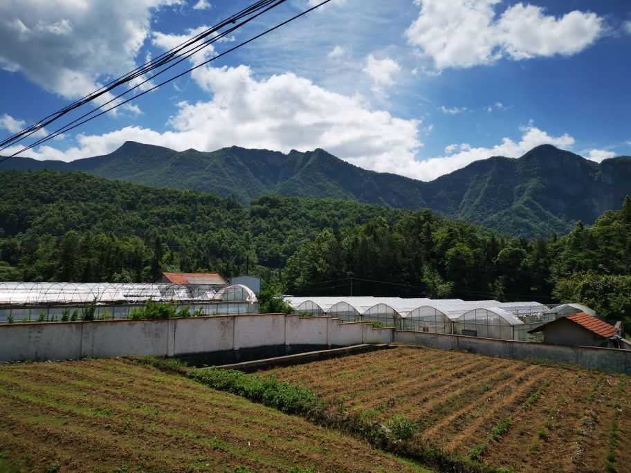 湖南省张家界市桑植县人潮溪镇南滩村