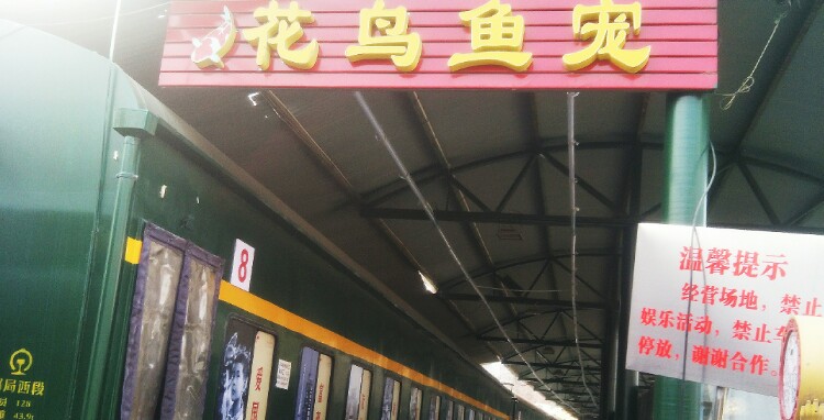 花鸟鱼宠店(朝阳公园火车头店)