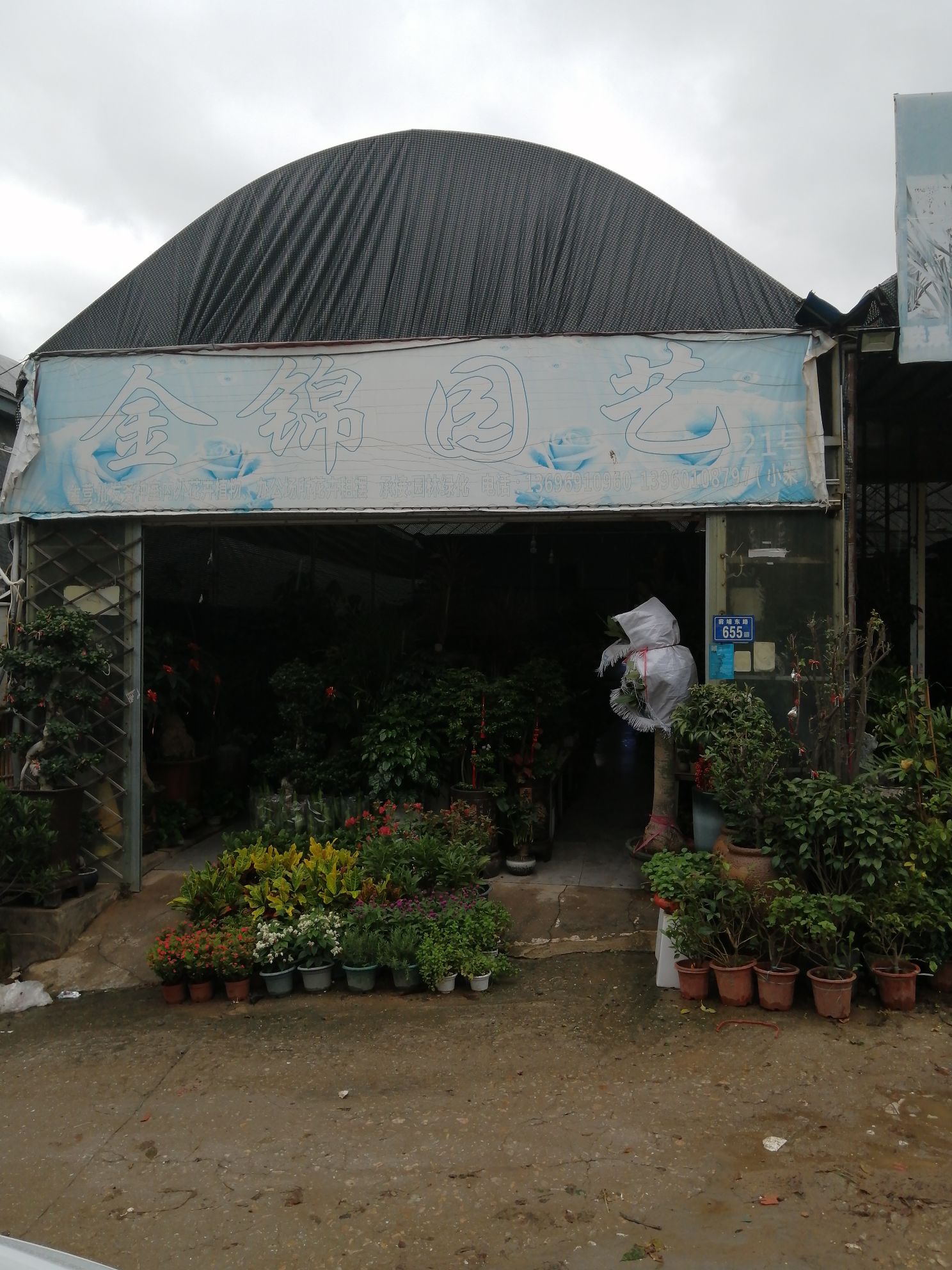 金锦园艺(前埔东路岭兜花卉市场21号)