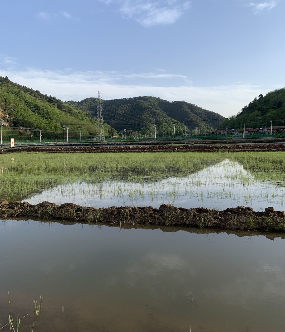 陕西省延安市黄陵县桃曲村