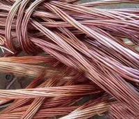 泰力回收工业园