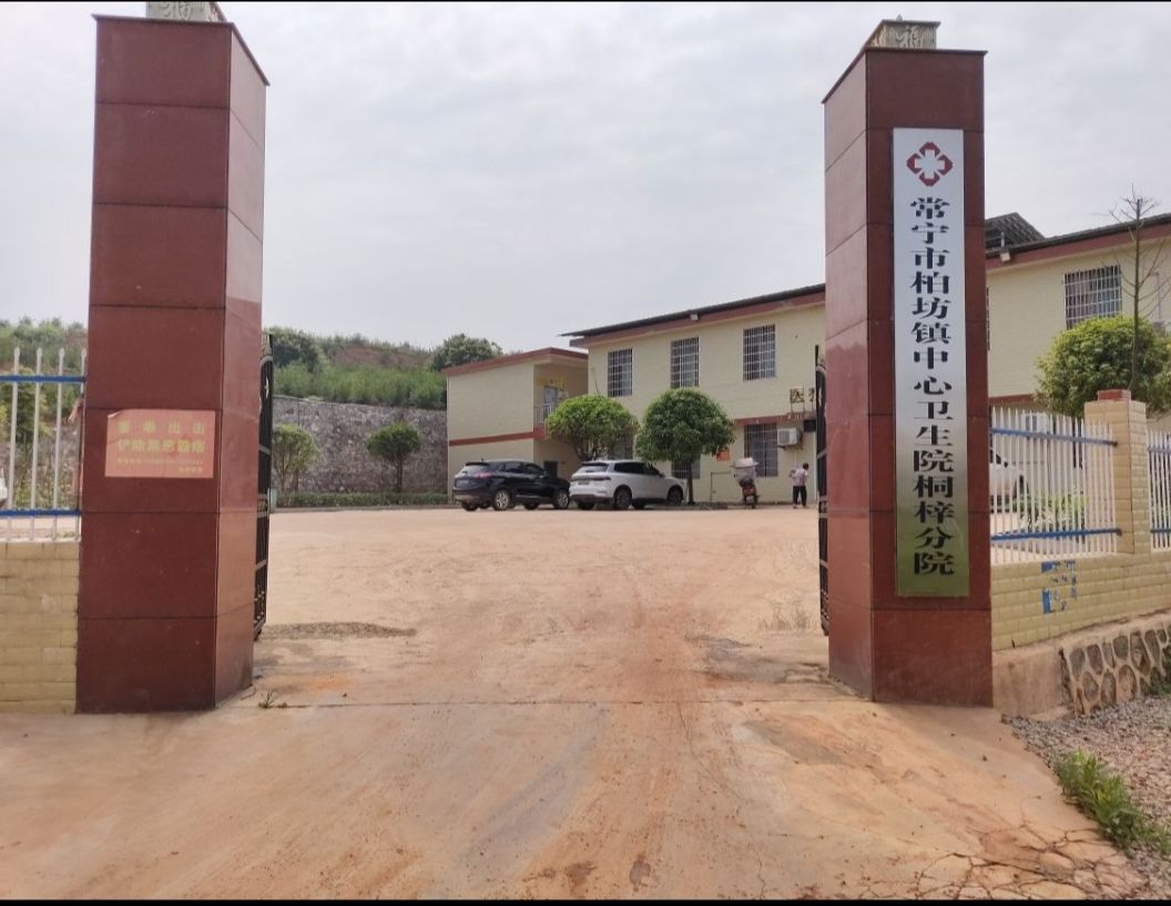 常宁市柏坊镇中心卫生院桐梓分院