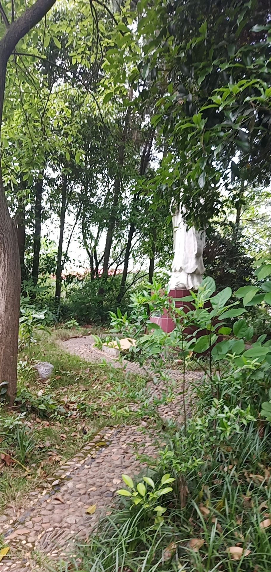 大药王寺