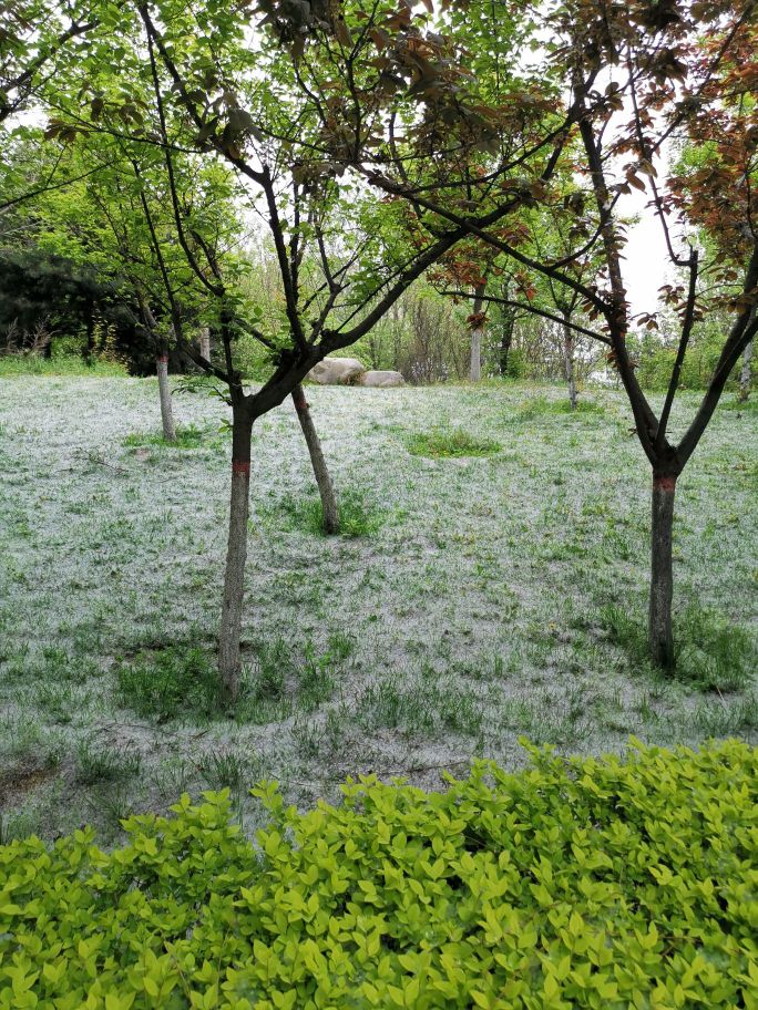 河南省信阳市息县孙庙乡月儿湾村