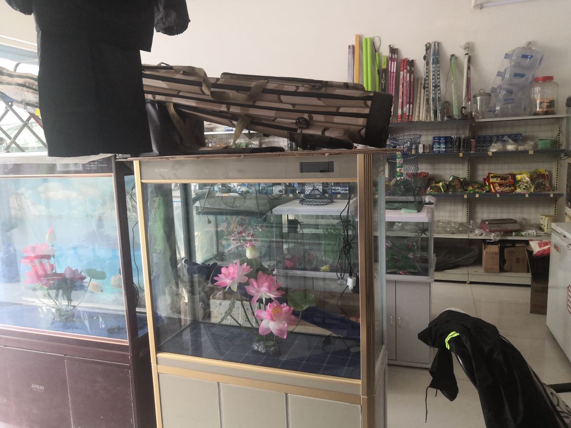 群生水产渔具水族