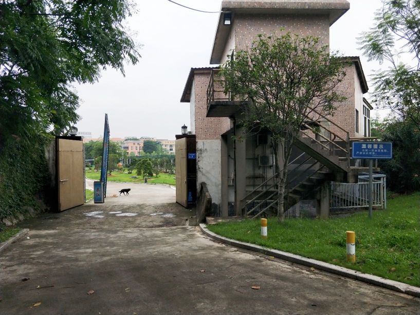 翰林学校-游泳馆