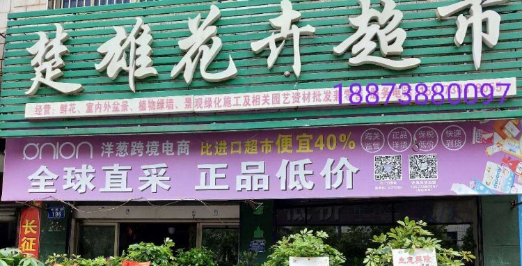 楚雄花卉超市