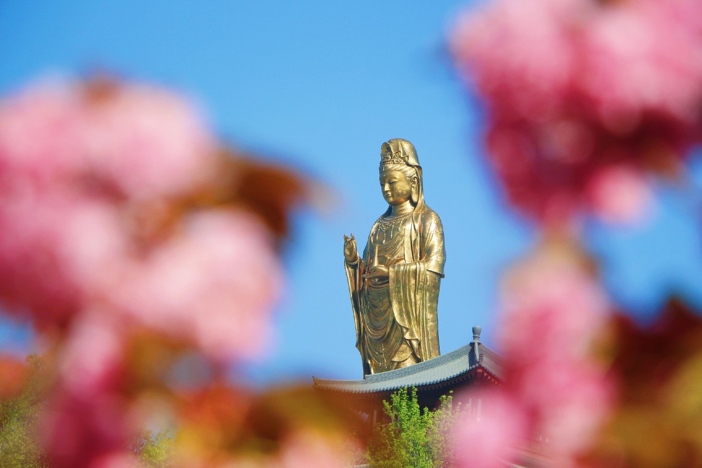 观音台_大连_百度地图