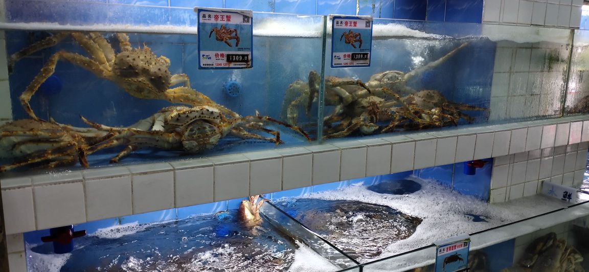 海鲜量贩超市(东榕美食广场店)