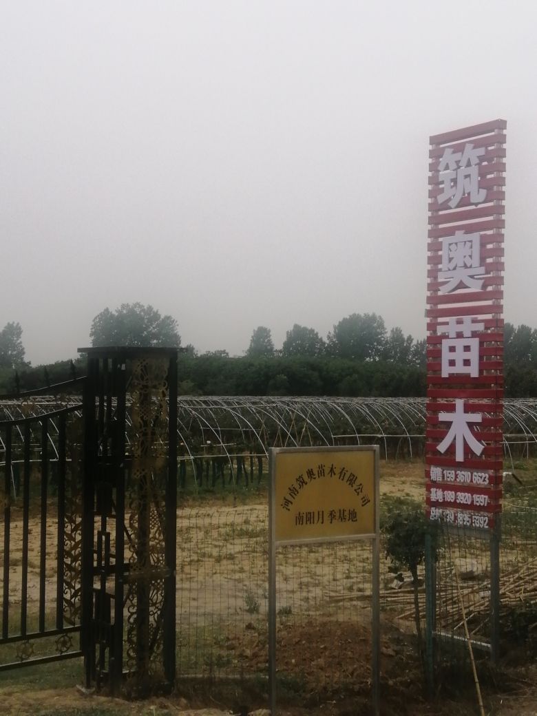 卧龙区潦河镇河南筑奥苗木有限公司(南阳月季基地)