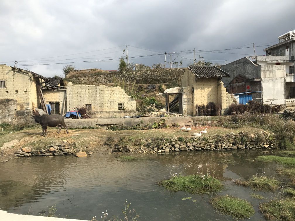 广东省茂名市信宜市