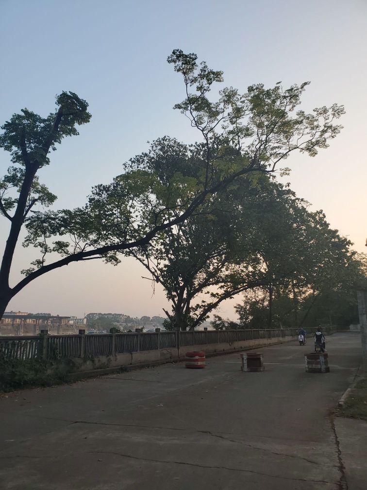 广西壮族自治区贵港市港北区桂花园(人民中路西)