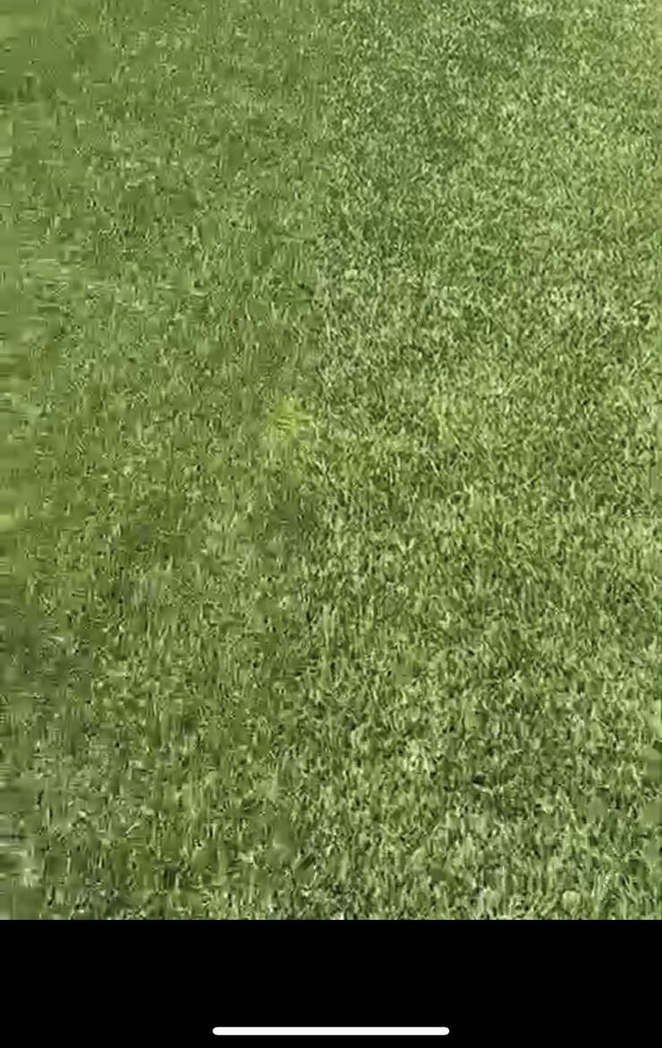 北京八喜联合竞技足球俱乐部