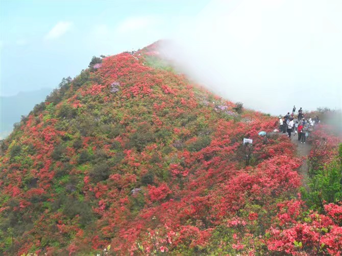 龙泉山蚩尤文化园