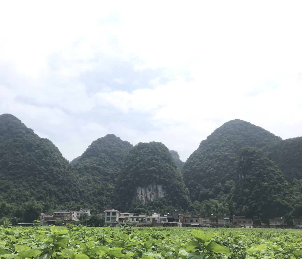 广西壮族自治区河池市宜州区同德乡