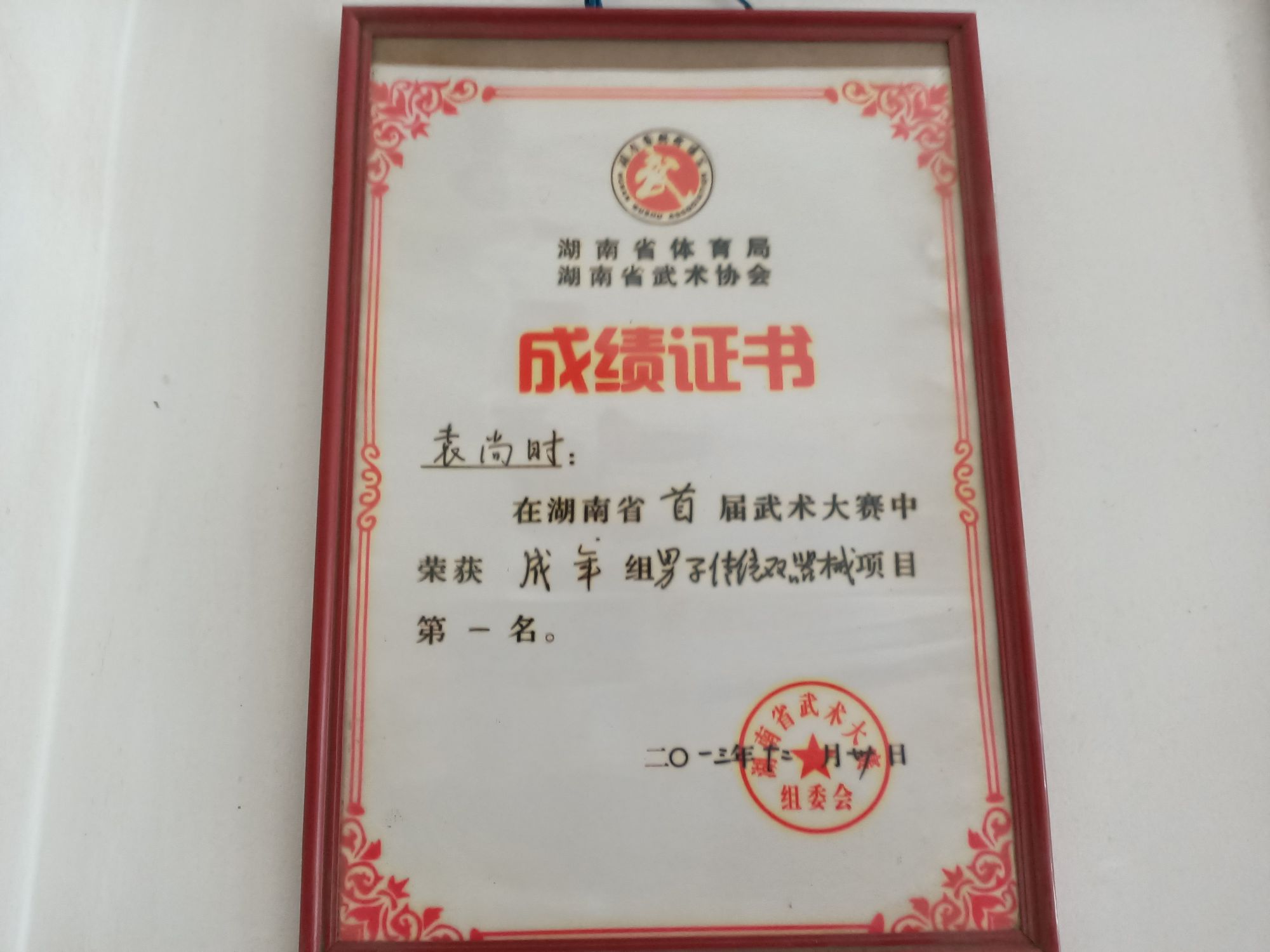 株洲市芦淞区武术运动学校