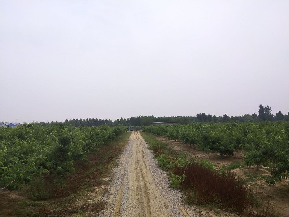 山东省临沂市河东区朝阳社区玉皇庙村联邦路路东