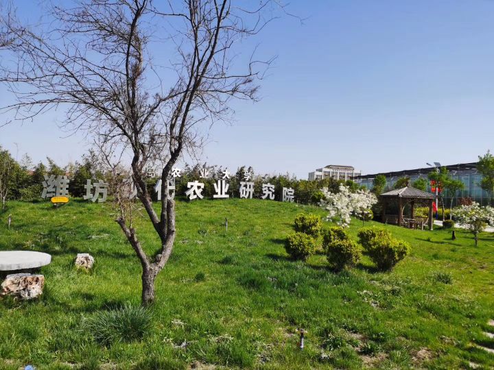 玉泉洼生态观光园