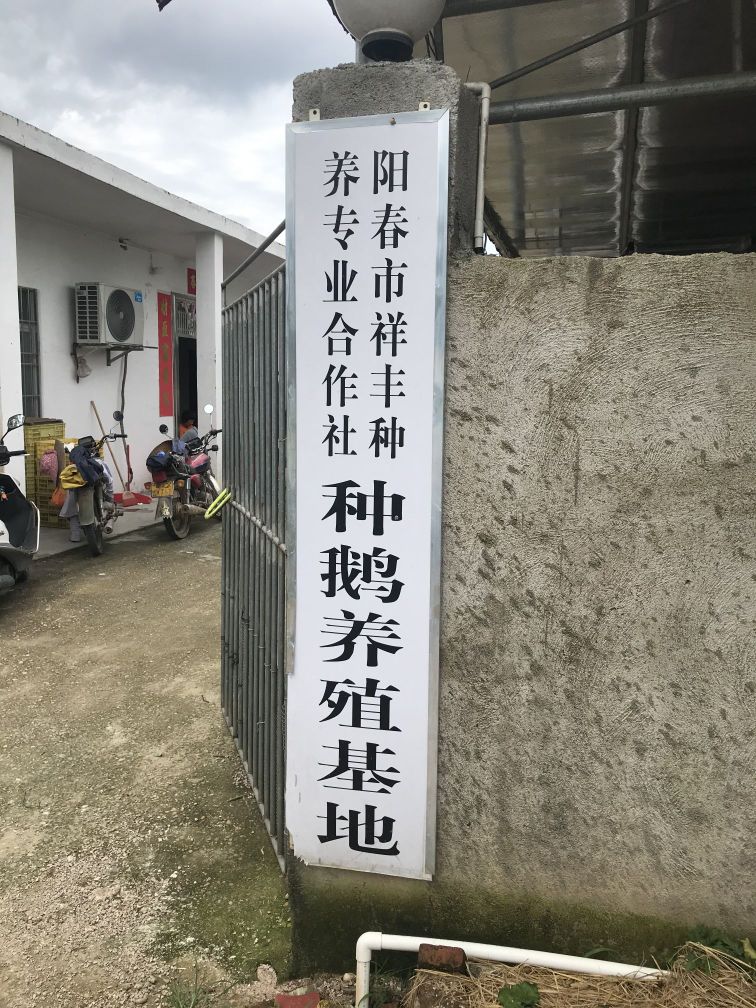 广东省阳江市阳春市河口镇梅垌村