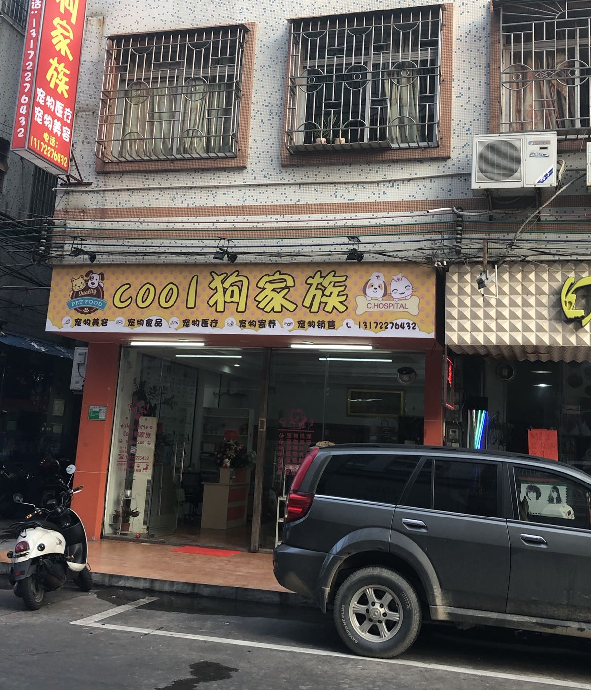 cool狗家族