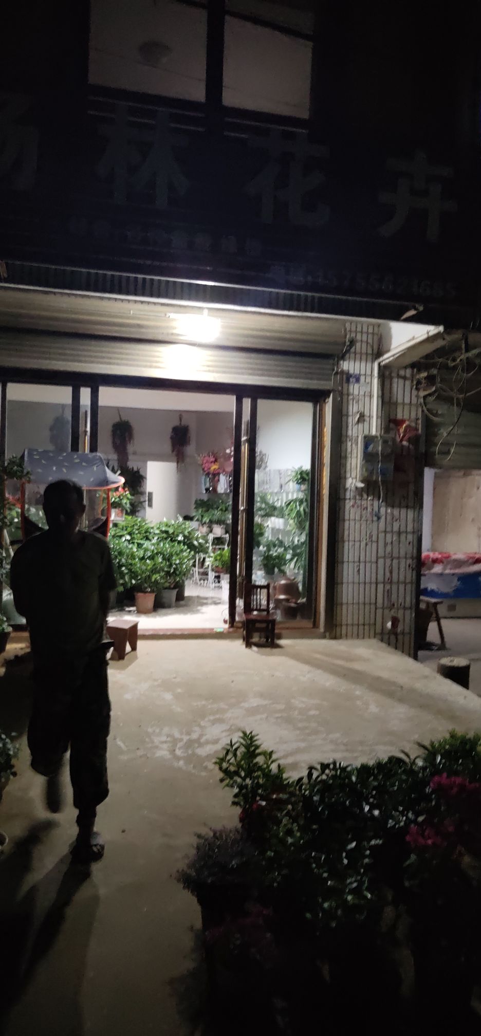 杨林花卉