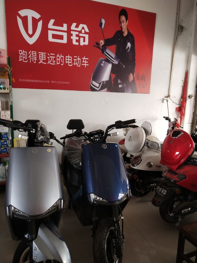 确山县留庄镇台铃电动车(留庄店)