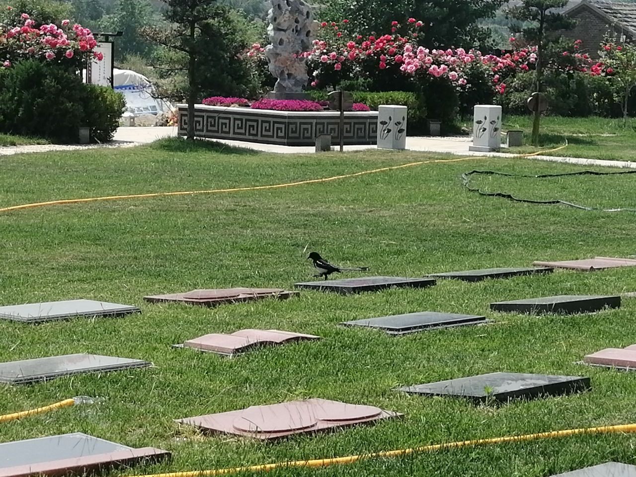 生活服务标签: 陵园 生活服务殡葬服务 墓地  山东滕州人文纪念园善国