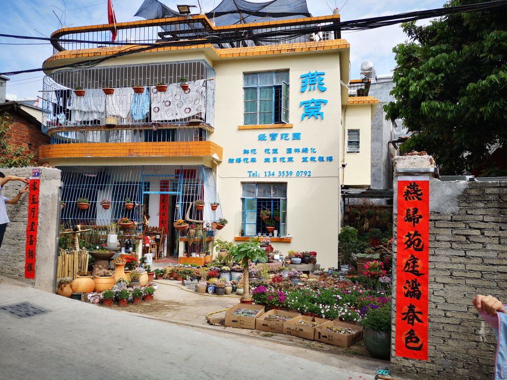 绿雅花卉