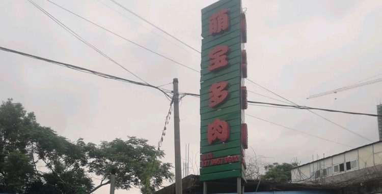萌宝多肉