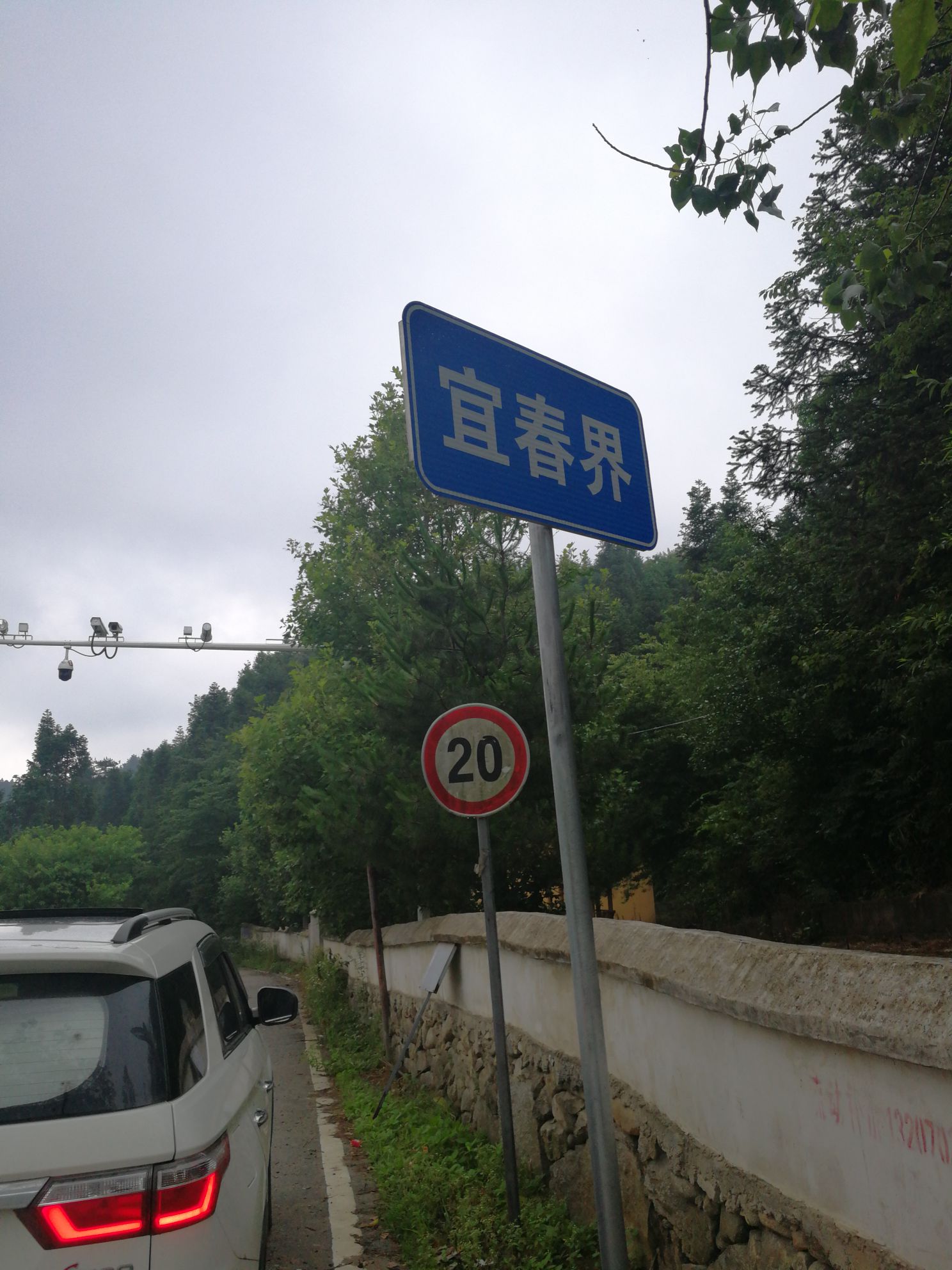 靖安县白沙坪民营林场