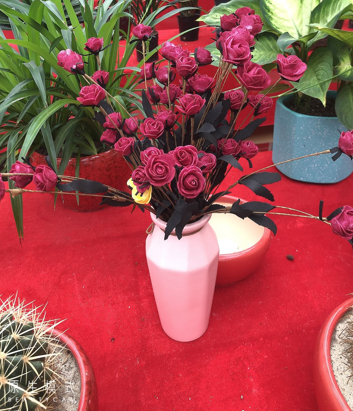 超龙花卉