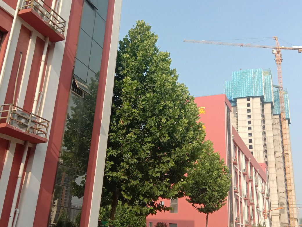 商丘市第八小学