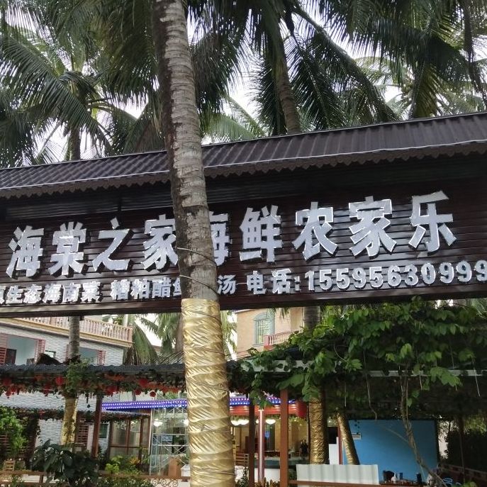 海棠之家·糟粕醋海鲜火锅·椰子鸡(亚特兰蒂斯店)