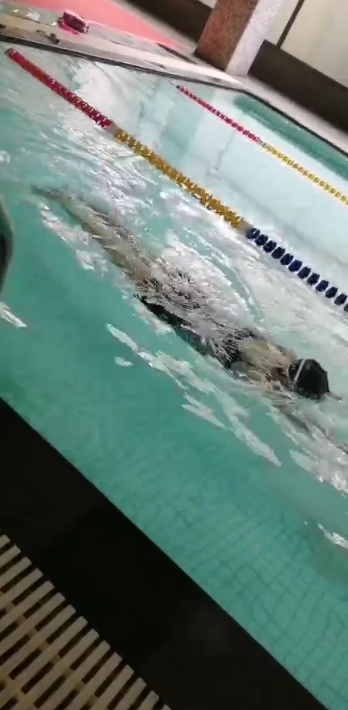 泳动成人儿童游泳培训中心(交通大学店)