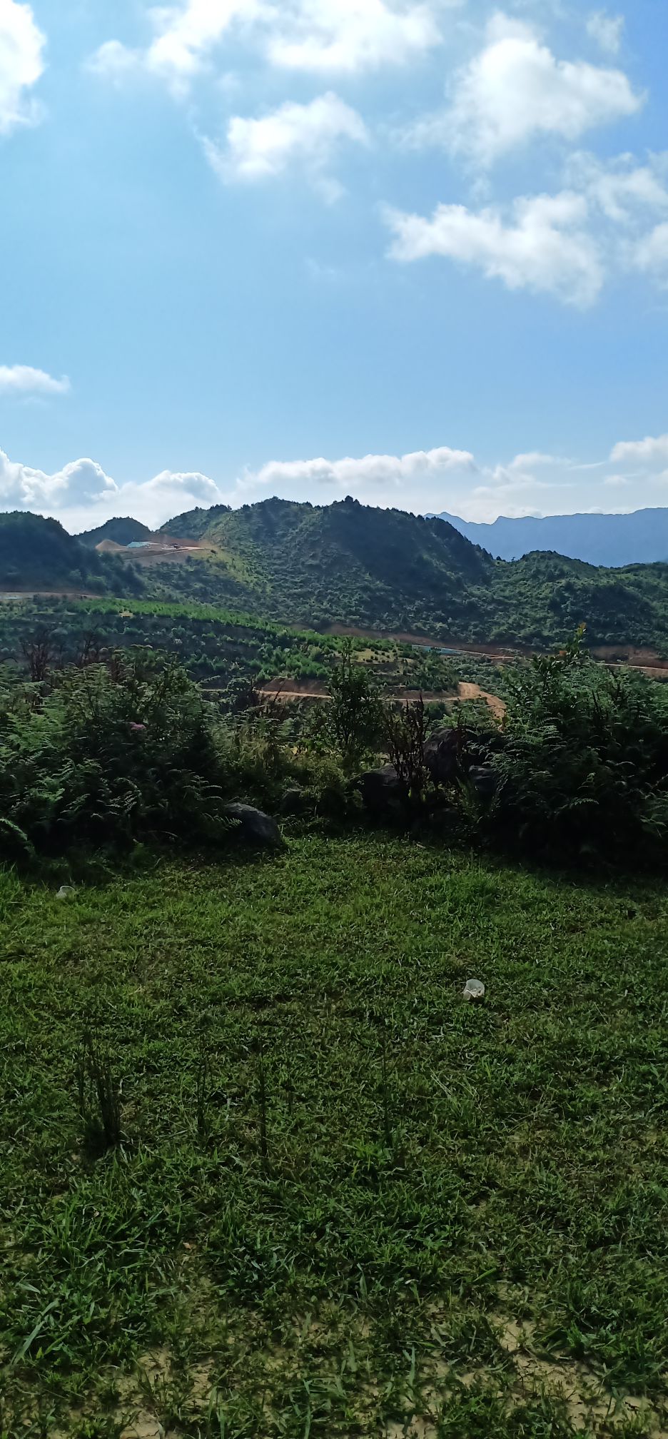 七甲南湾荒坪里牧场