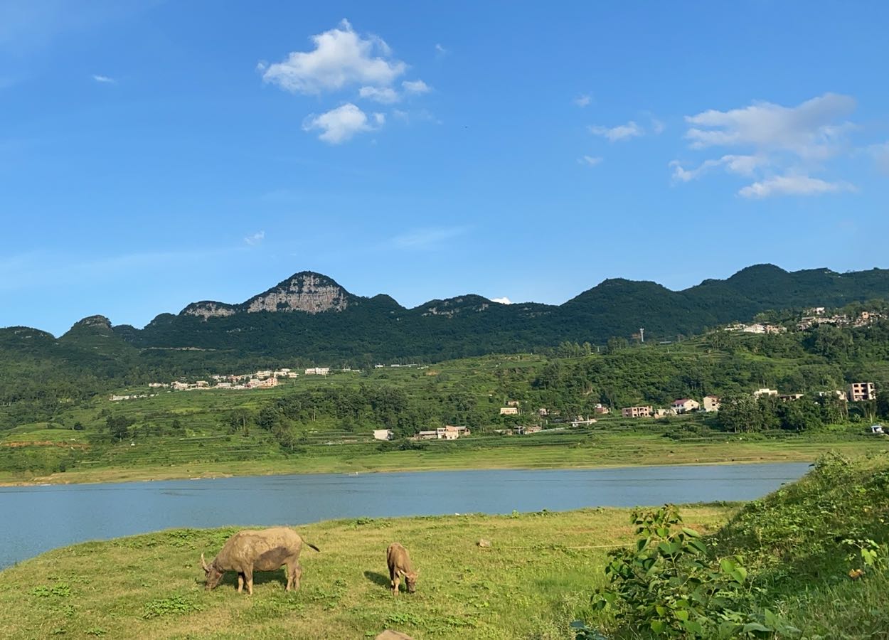 安顺市普定县