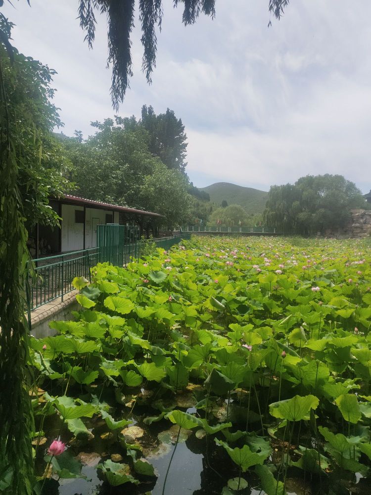 香山书院大酒店