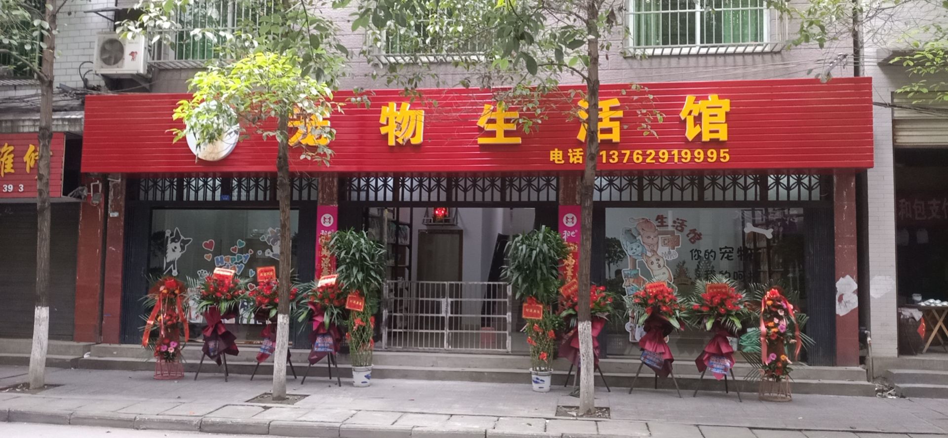 溆浦宠物生活馆