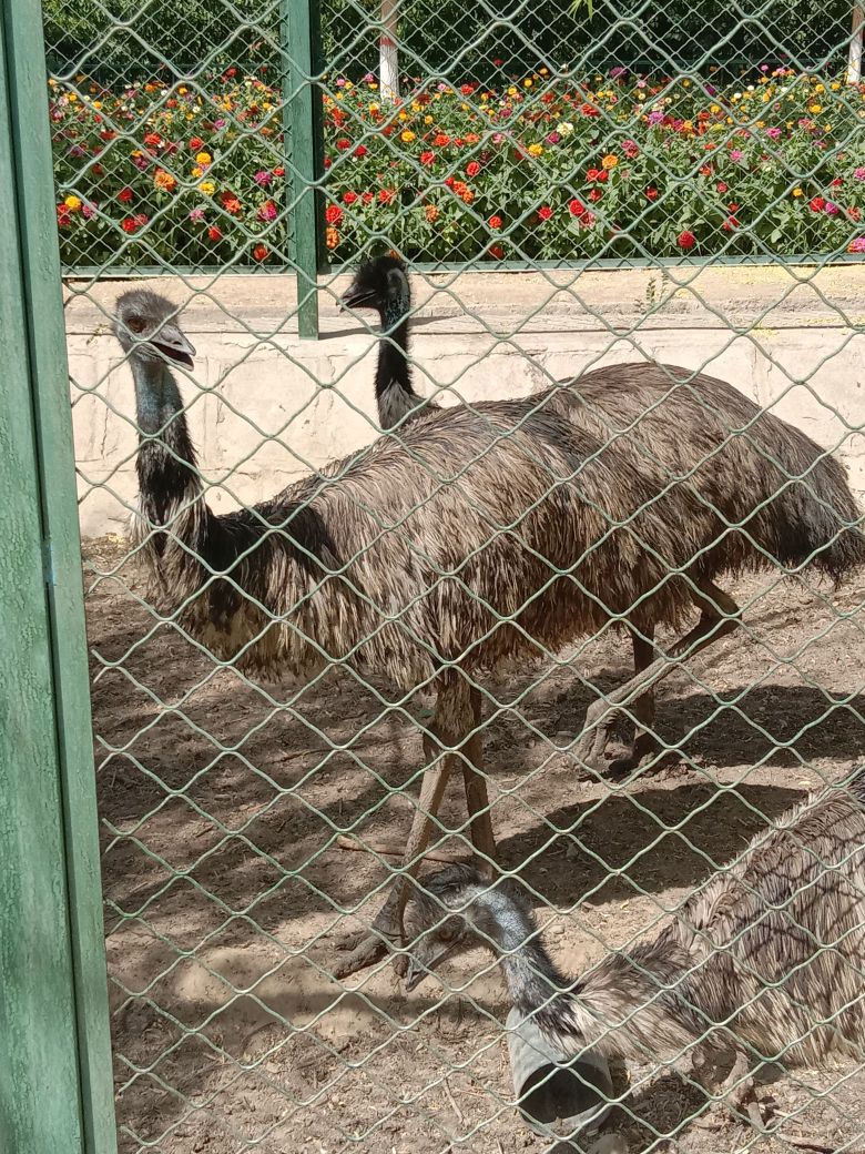 金水年华度假村