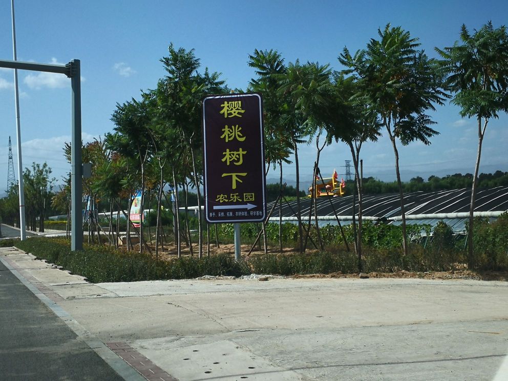 樱桃树下生态农庄