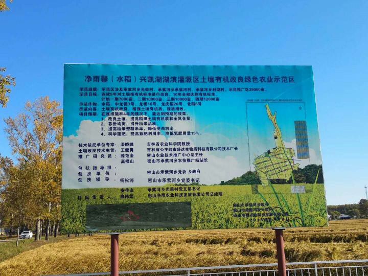 净雨馨(水稻)兴凯湖湖滨灌溉区土壤有机改良绿色农业示范区