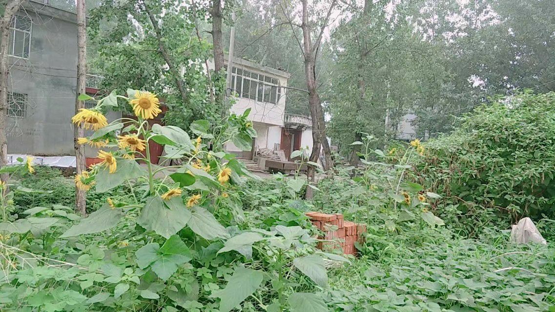 阜阳市临泉县