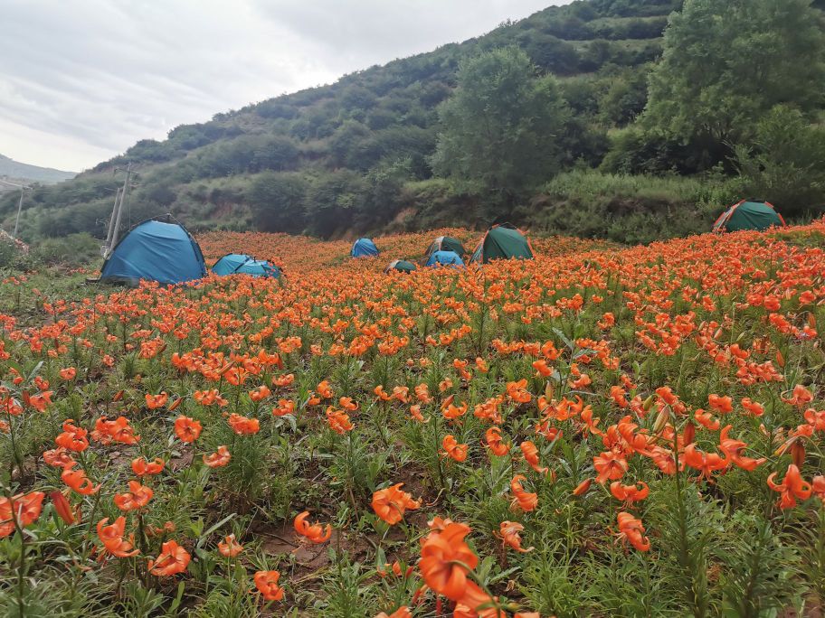 袁家湾百合谷风景_兰州_百度地图