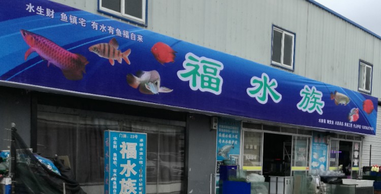 福水景(宁波古玩城店)