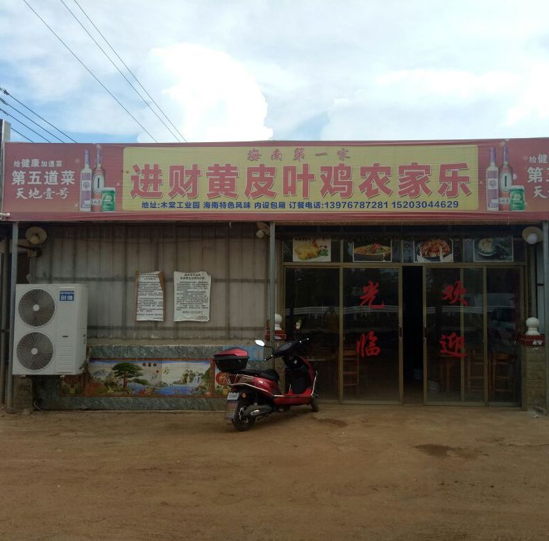 儋州进财黄皮鸡大排档
