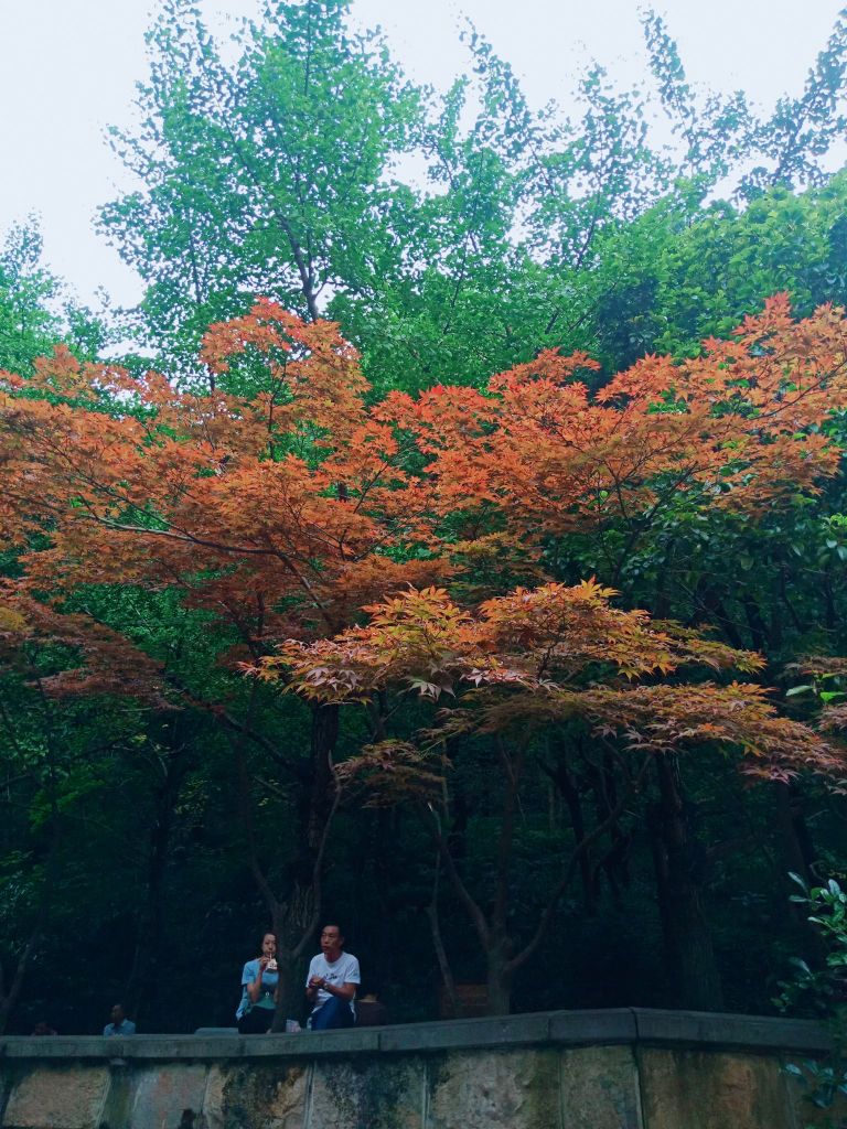 西藏路带状公园