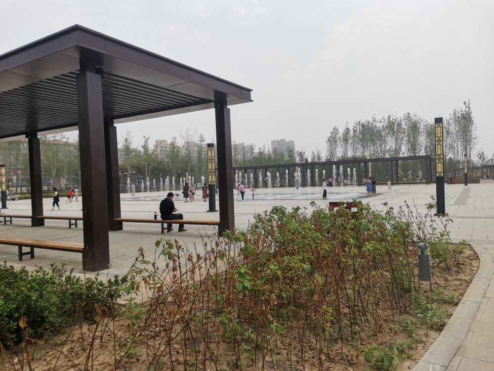 廊坊市大城县平舒镇府东新区南侧