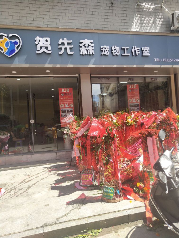 溆浦贺先森宠物店