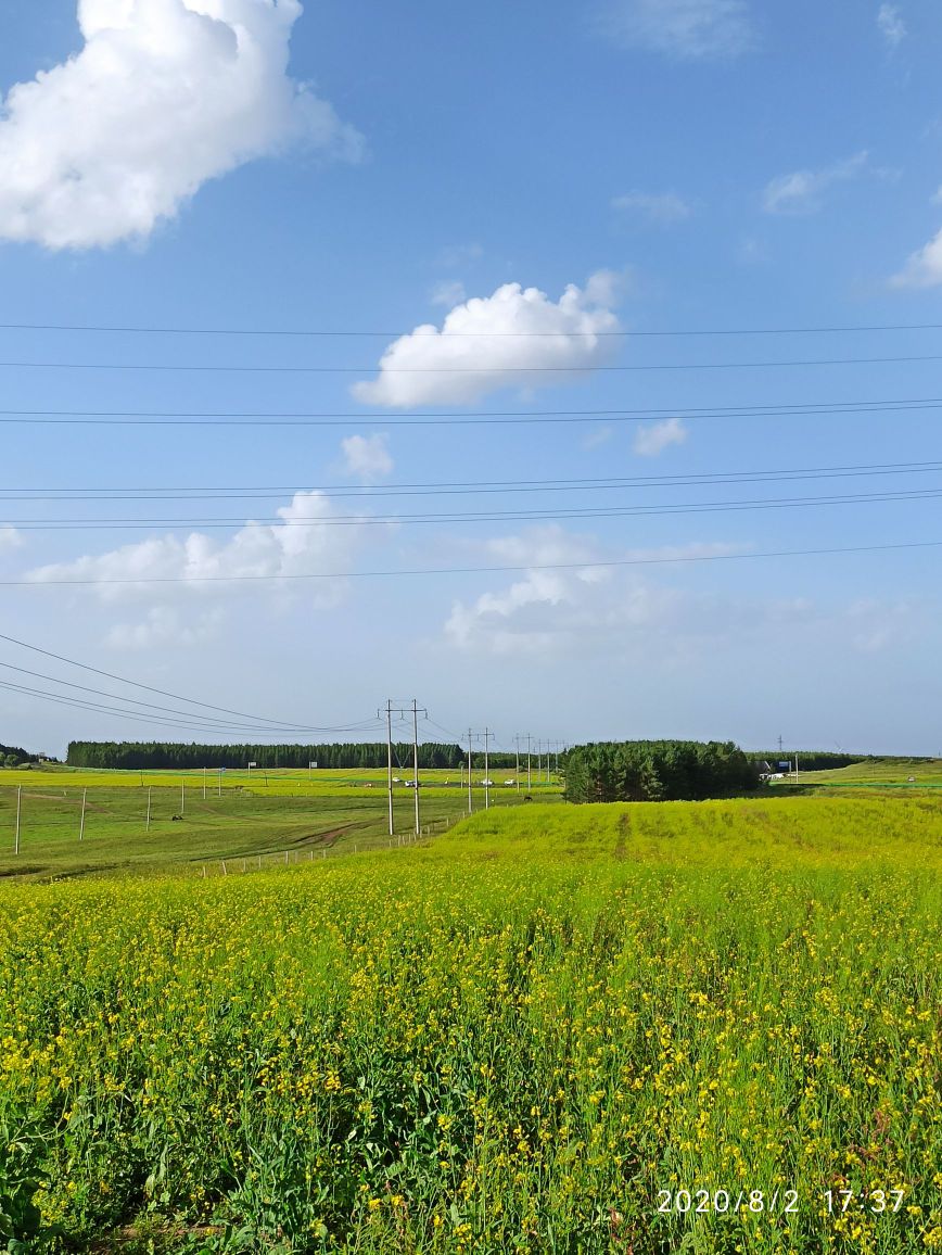 顺风跑马场